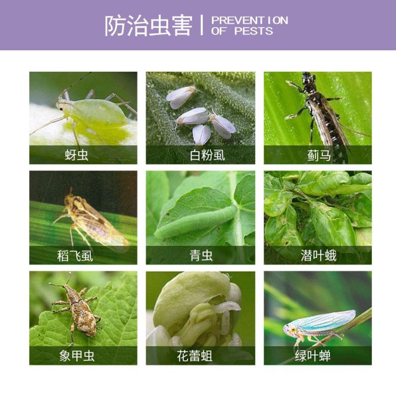新景象见蜂插针20%溴氰吡虫啉蚜虫蓟马粉虱棉蚜桃蚜