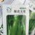 绿灯泡圆茄子苗茄子嫁接苗河南青皮茄子苗专业培育