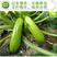 中科绿盛西葫芦种子耐热越夏抗病毒，油绿色油葫芦，早熟