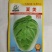 春满园白菜种子早春种植品种，夏美夏季专用品种种子