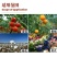 靓枣王植物源增色表光剂果树:除垢防锈、防裂抗裂、涂蜡增
