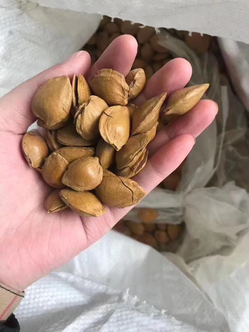 开口五香杏仁奶香味干果