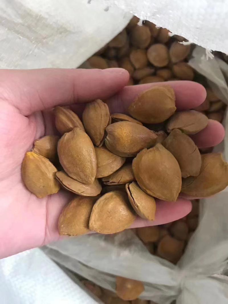 开口五香杏仁奶香味干果