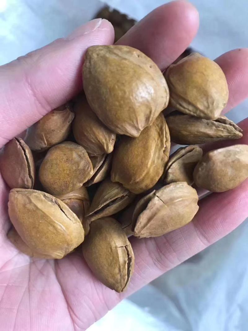 开口五香杏仁奶香味干果