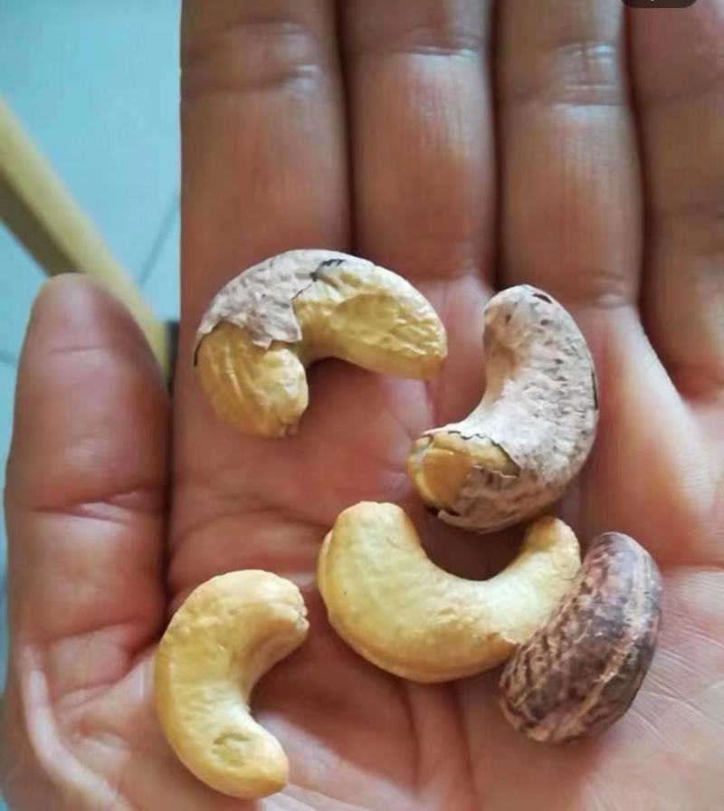 精品装饱满大颗粒腰果