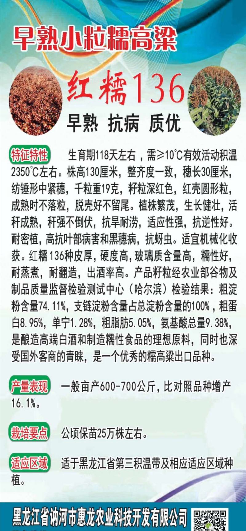 小矮人红帚1号笤帚高粱种子