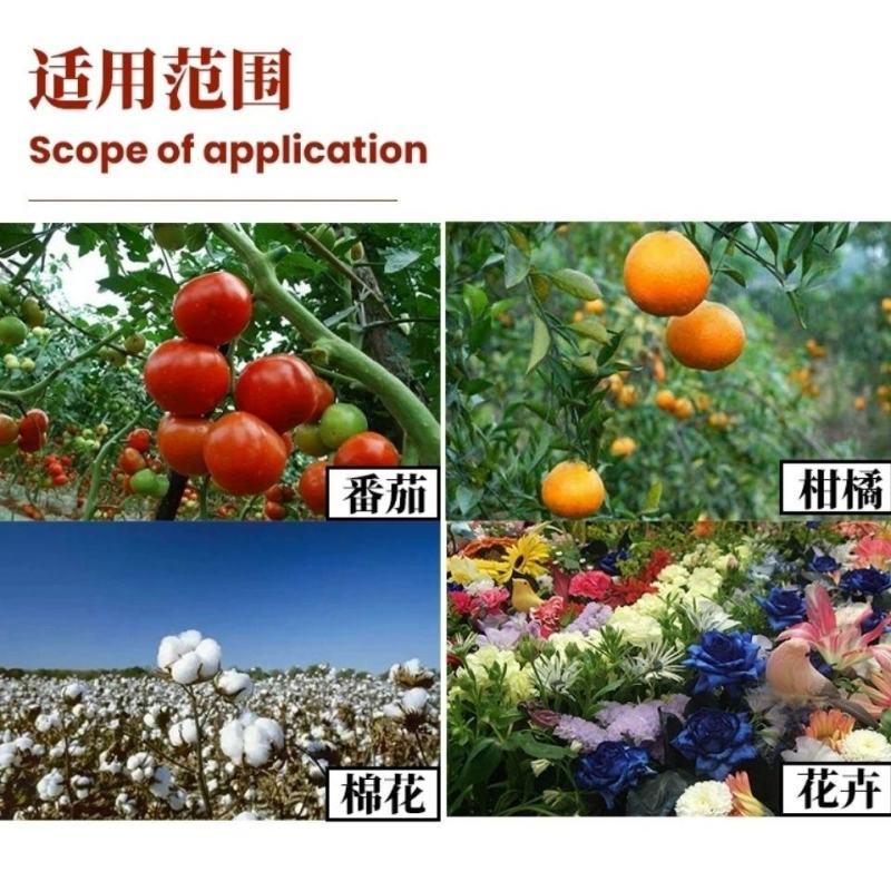鼎盛200克/升吡虫啉劲虎防治刺吸式害虫杀虫剂飞虱蚜虫