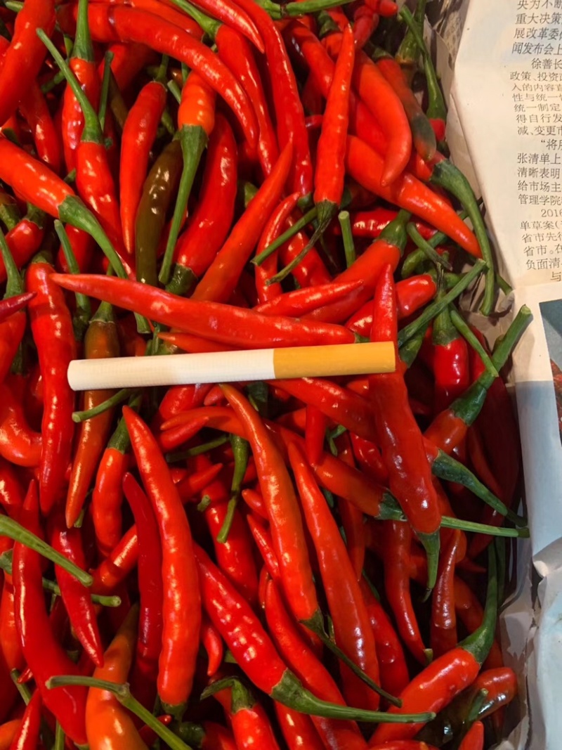 米椒优质精品椒中玉艳红对接档口电商量大稳定