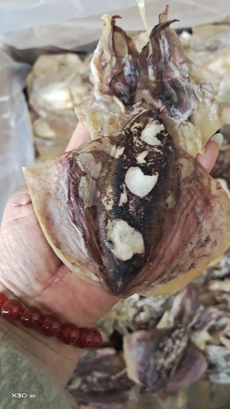 墨鱼干小个头无盐十足干，1斤16个左右，一手货源产地直发