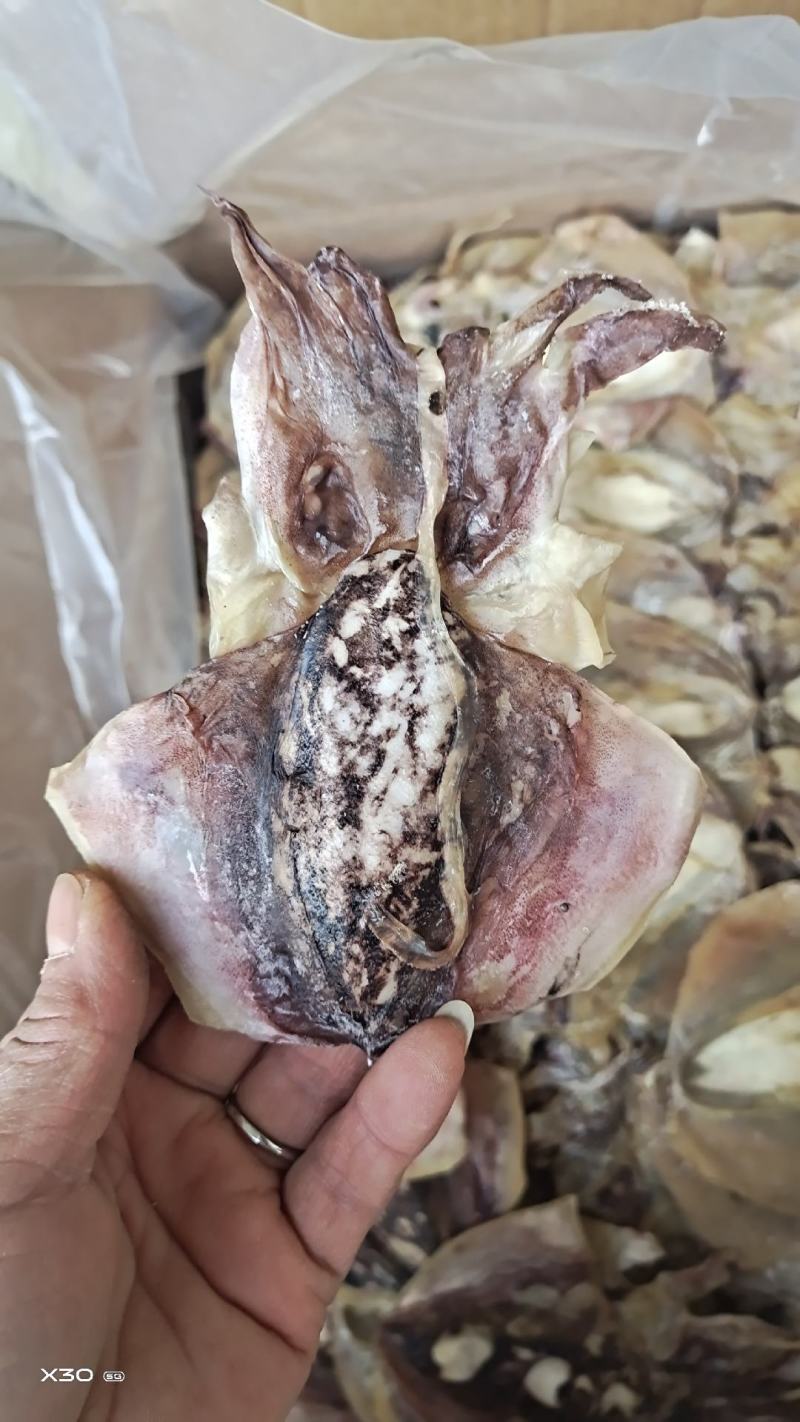 墨鱼干小个头无盐十足干，1斤16个左右，一手货源产地直发