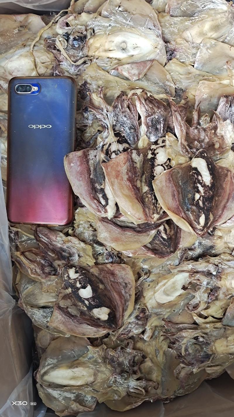 墨鱼干小个头无盐十足干，1斤16个左右，一手货源产地直发