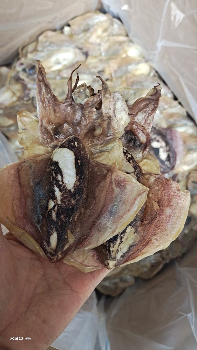 墨鱼干小个头无盐十足干，1斤16个左右，一手货源产地直发