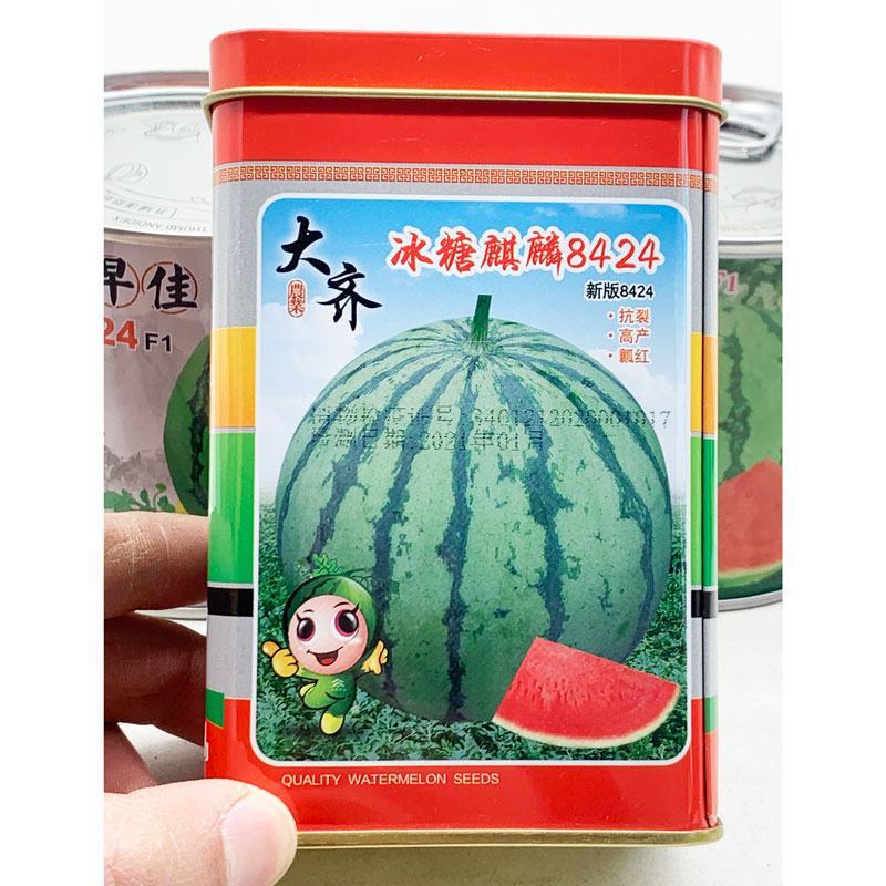 大齐冰糖麒麟8424西瓜种子耐裂早佳8424西瓜种原装发