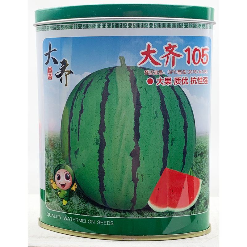大齐冰糖麒麟8424西瓜种子耐裂早佳8424西瓜种原装发