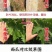 亚磷酸钾保花保果营养控旺着色增甜抑菌抗病