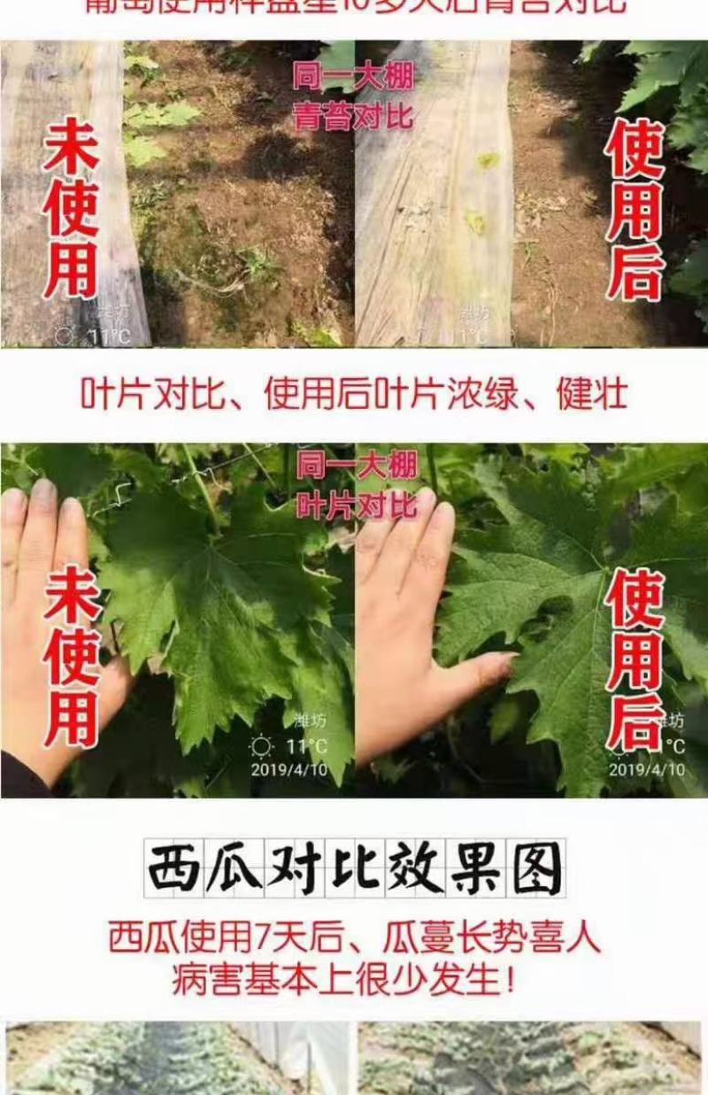 亚磷酸钾保花保果营养控旺着色增甜抑菌抗病