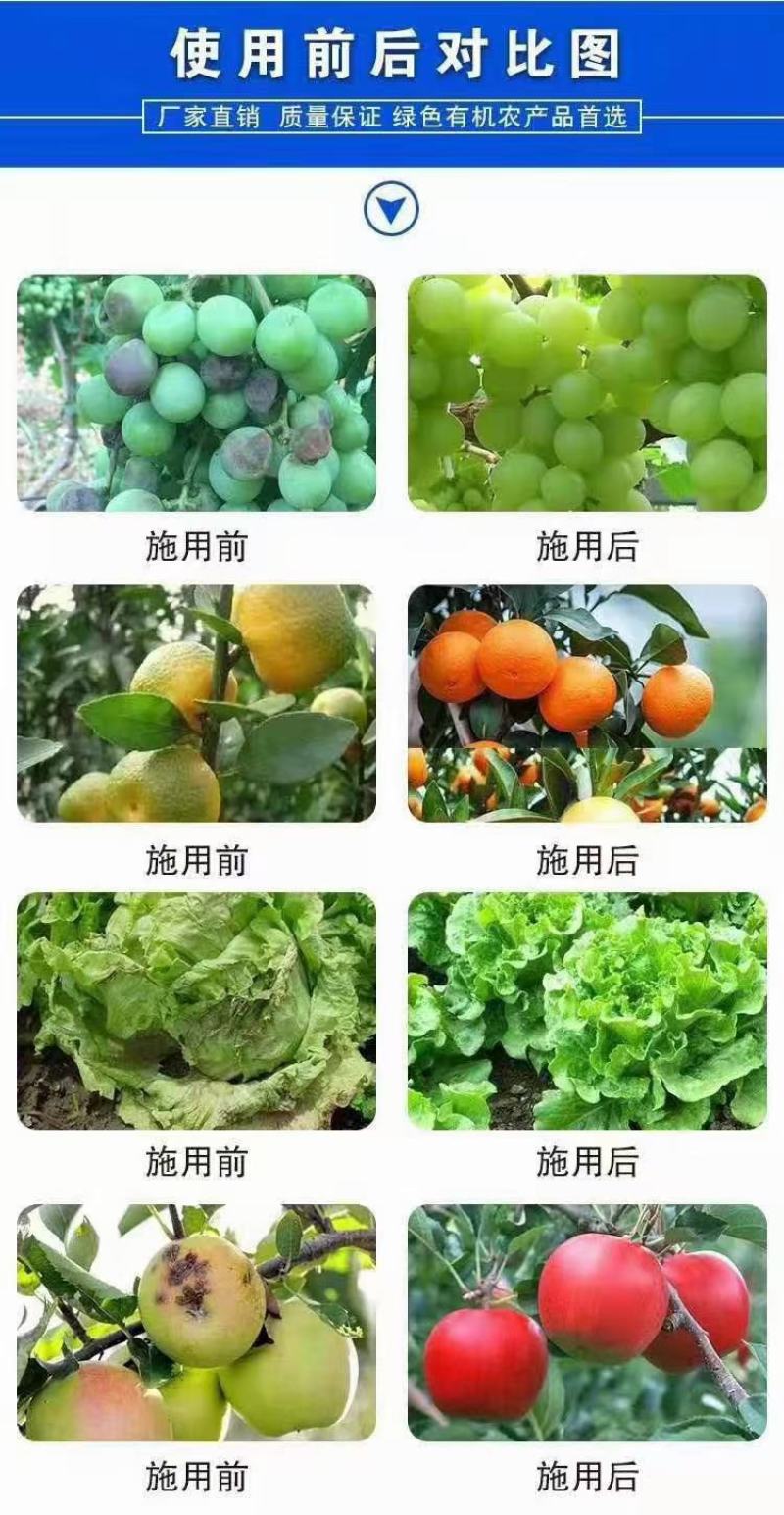 亚磷酸钾保花保果营养控旺着色增甜抑菌抗病