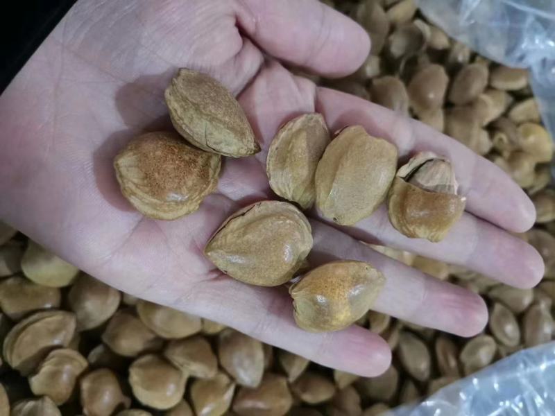 开口五香杏仁奶香味干果