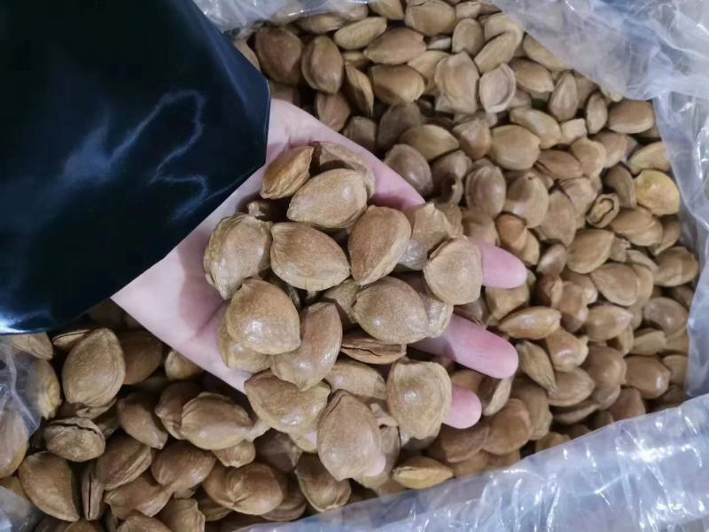 开口五香杏仁奶香味干果