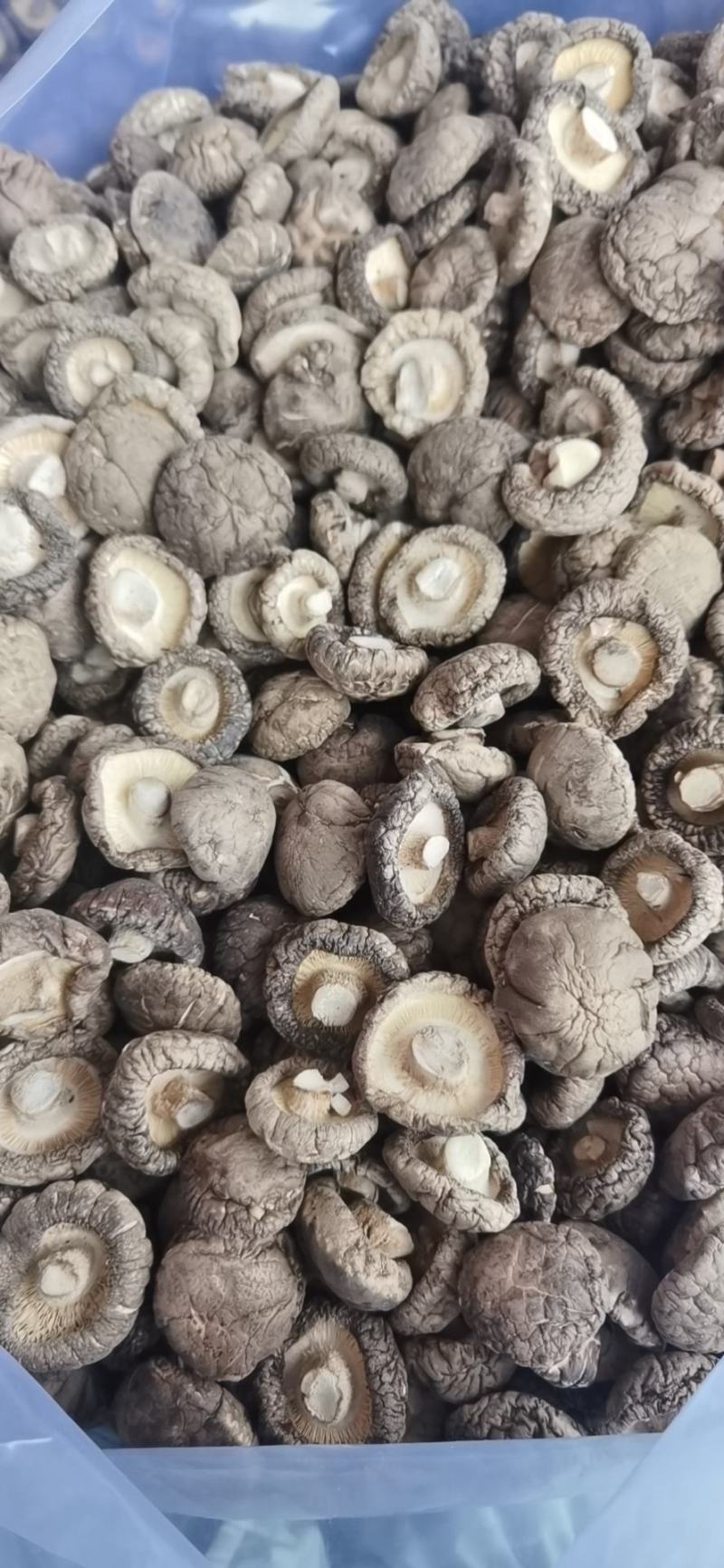 香菇干货产地直供量大稳定常年可合作支持一件代发