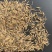 进口牧草鱼陆龟荷兰猪兔子饲料燕麦种子草籽种植绿肥包