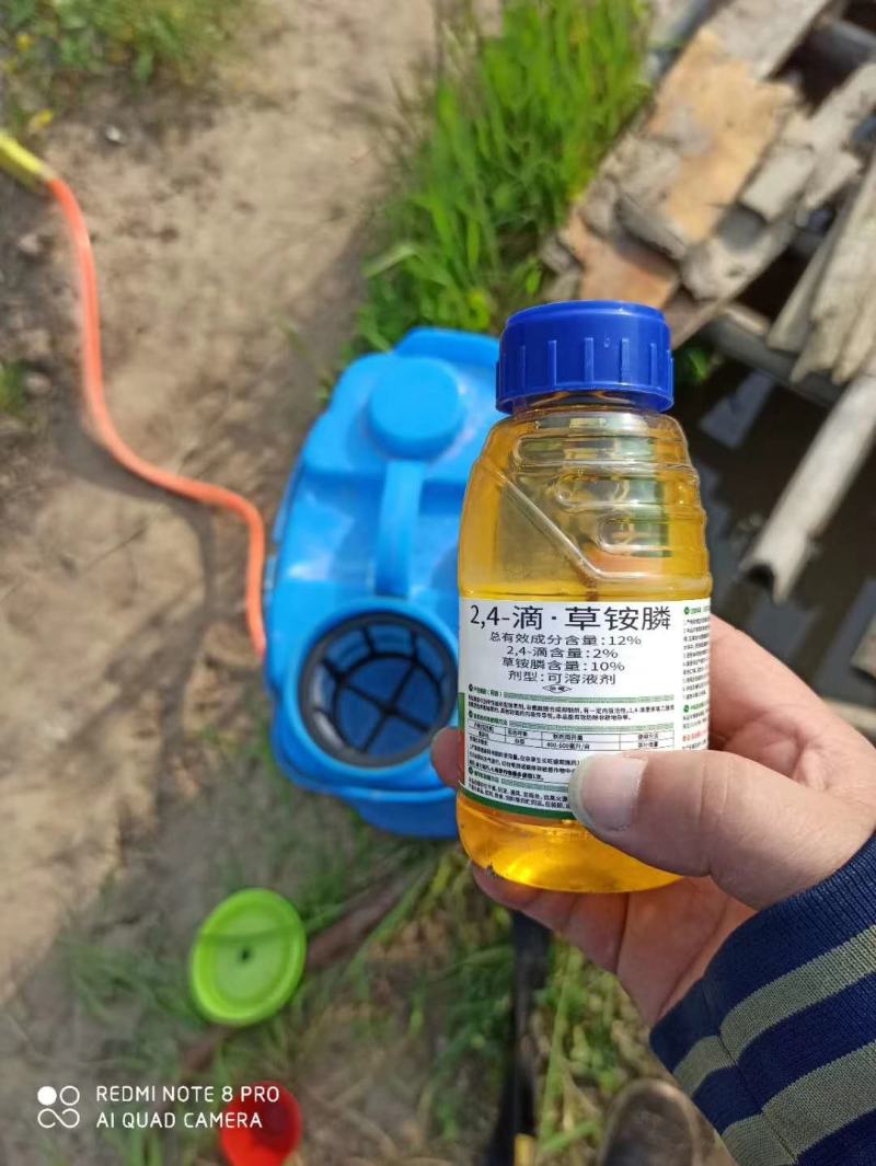 牛大地牛田地24滴草胺膦非耕地除草剂随机发