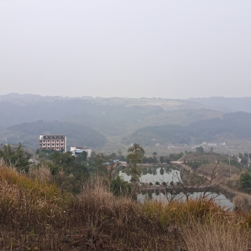 2400亩土地出租或转让
