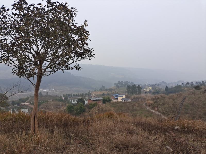 2400亩土地出租或转让