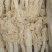 福建古田精品长裙竹荪各种规格都有，诚信经营，