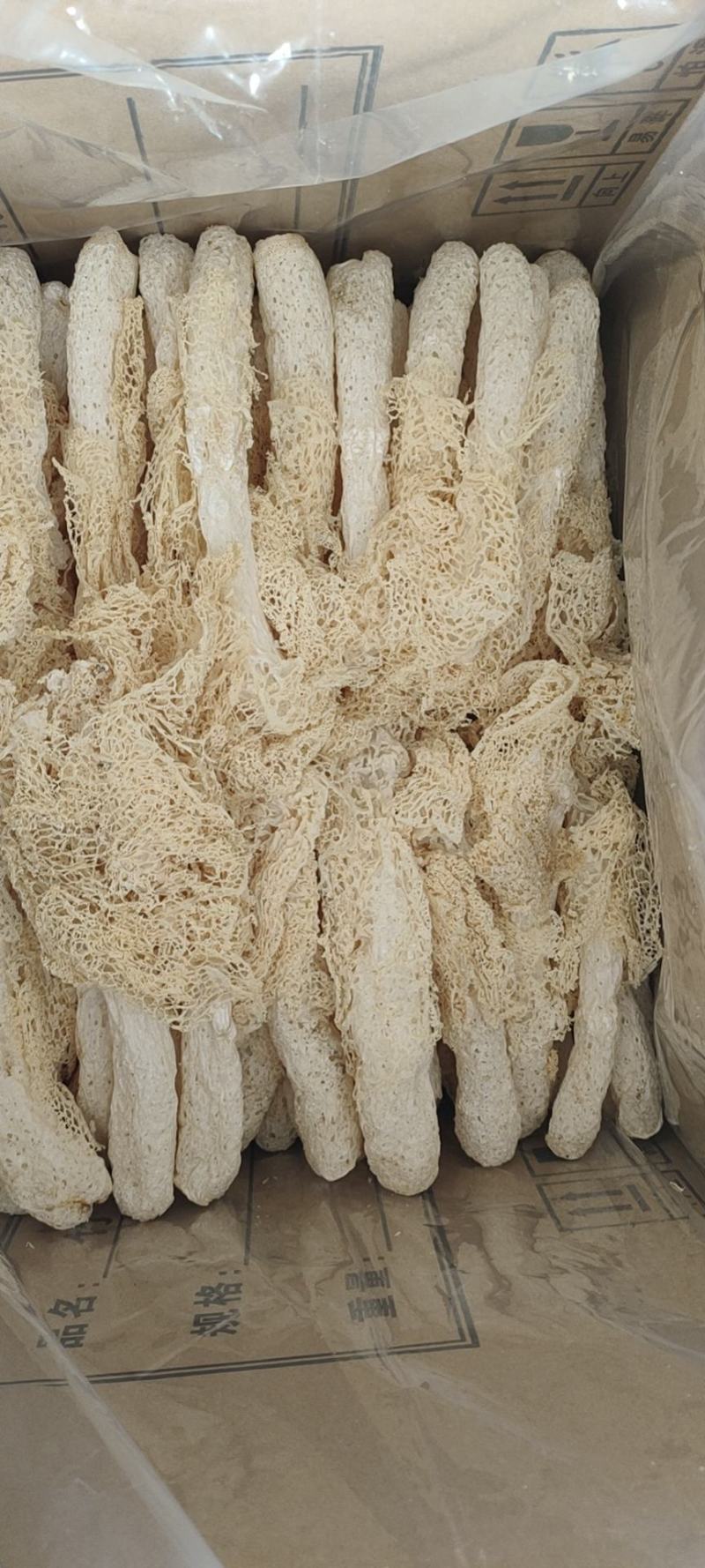 福建古田精品长裙竹荪各种规格都有，诚信经营，