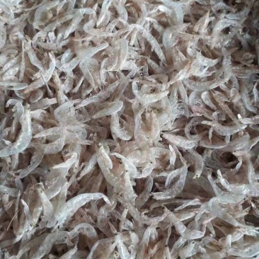 【优选直供】天然大虾皮，自然晒干