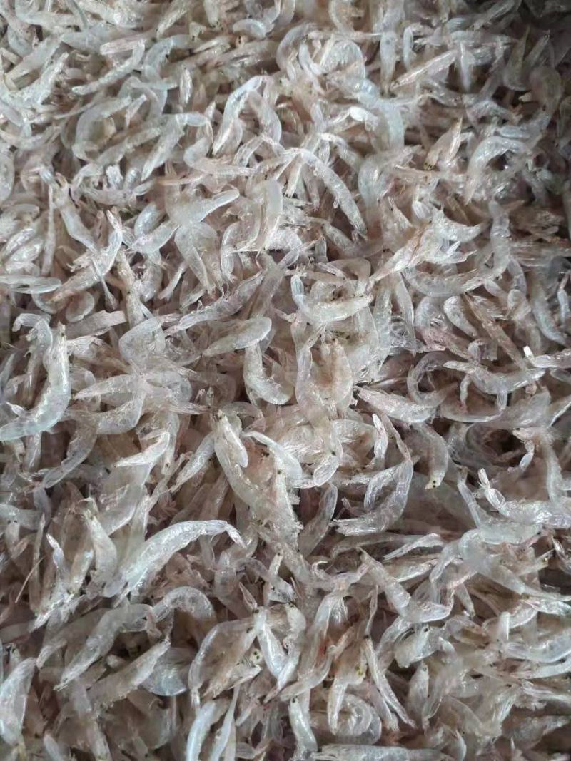 【优选直供】天然大虾皮，自然晒干