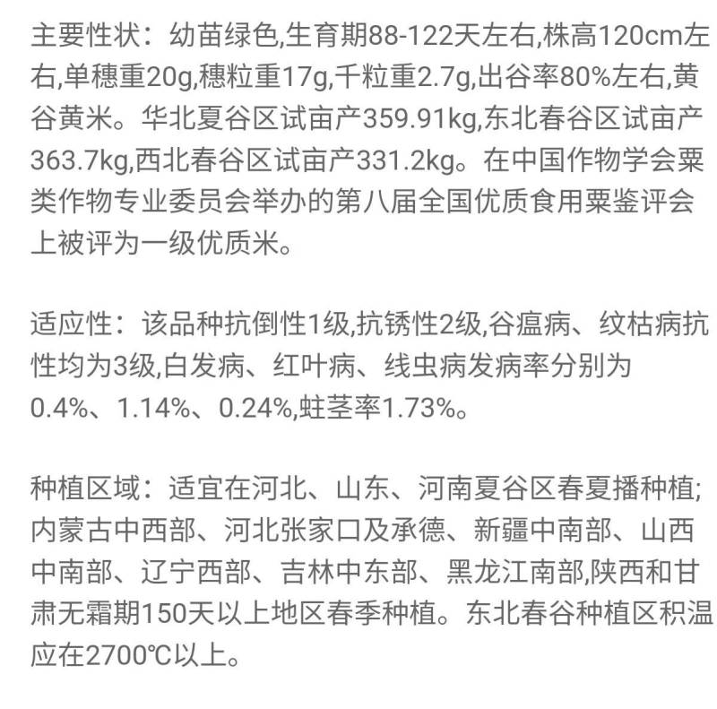 正品豫谷18谷子种子甜糯香粘黄米高产谷子小米种子