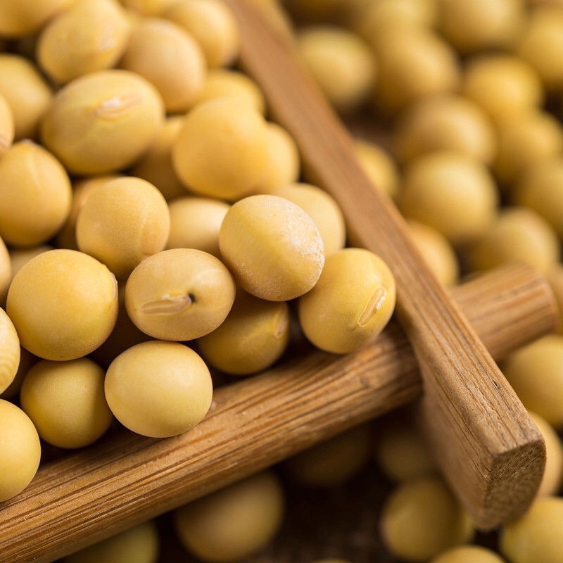 外贸配额正规手续，进口巴西非转基因、转基因大豆。