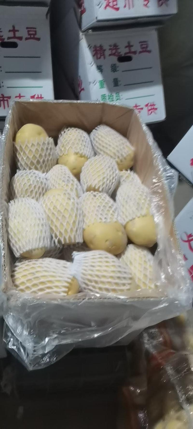 荷兰十五土豆新疆阿克苏自产自销