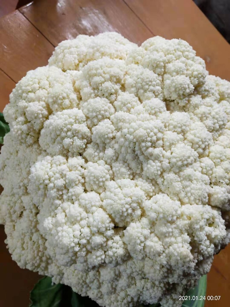 万亩松花（有机花），开园采收欢迎各位老板前来订购