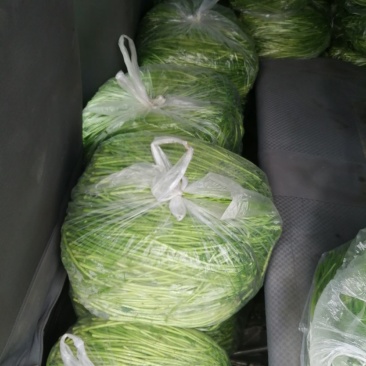 精品芦蒿，自产自销。篓蒿。水艾。农家种植。