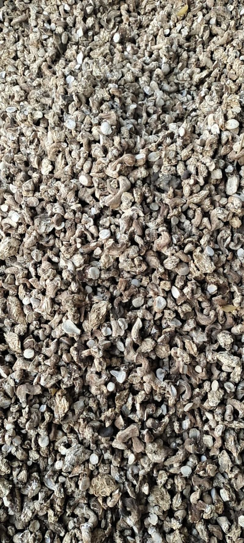 单剪香菇根大量批发可以议价