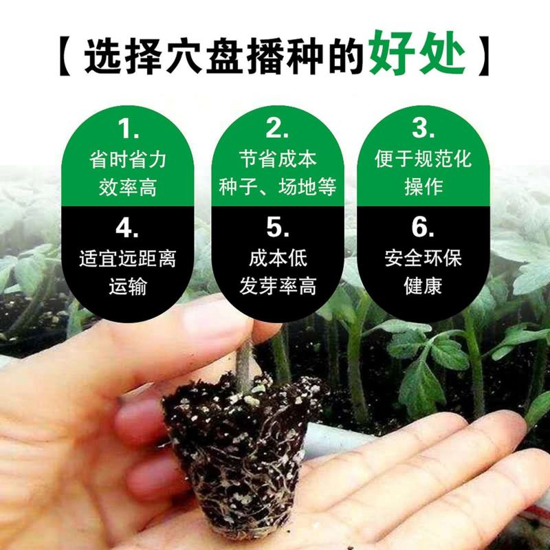 优质加厚多肉牙苗菜培育箱穴盘多肉种植育苗盒育苗盘塑料