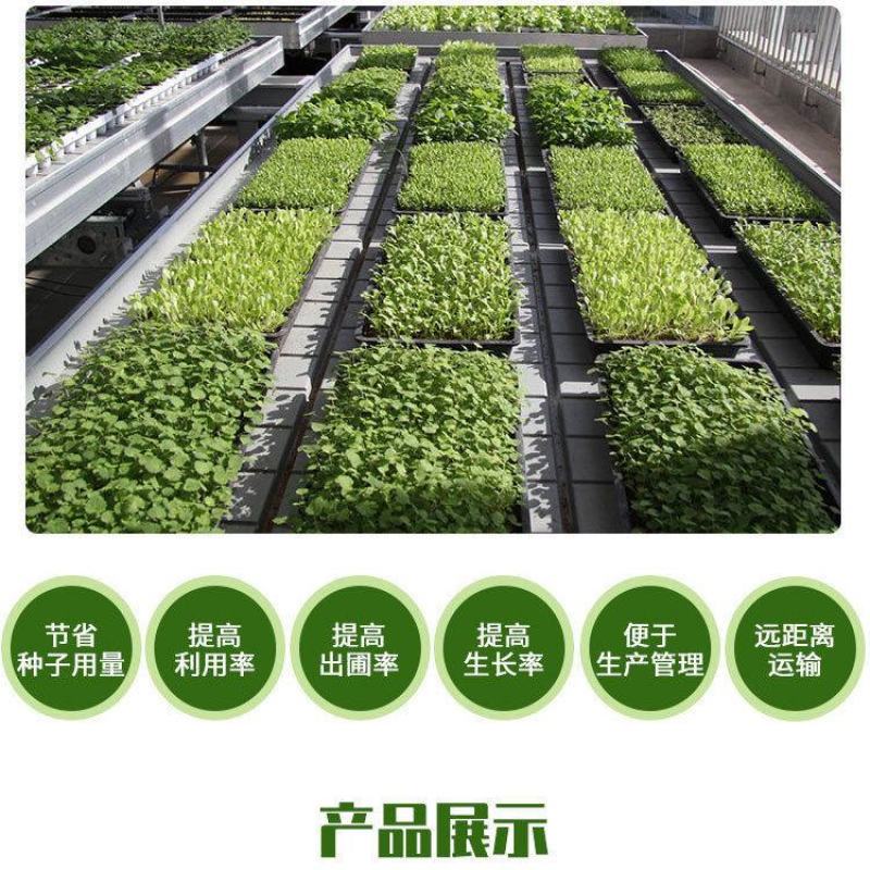 优质加厚多肉牙苗菜培育箱穴盘多肉种植育苗盒育苗盘塑料