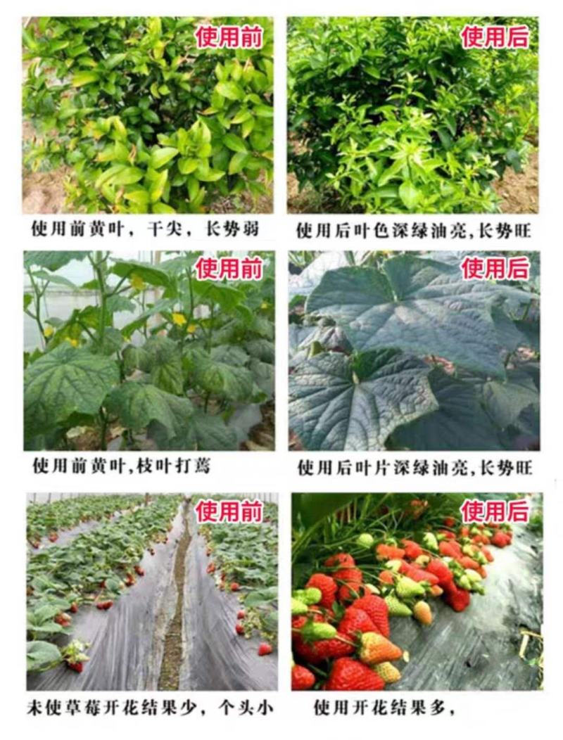 磷酸二氢钾叶面肥速溶闪溶保花保果膨果上色