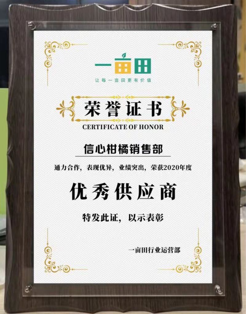 脐橙长虹脐橙，秭归脐橙口感甜，果面干净鲜地头收购一手货