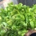 大江边上精品儿菜，很少红头，按要求采装，头刀精品