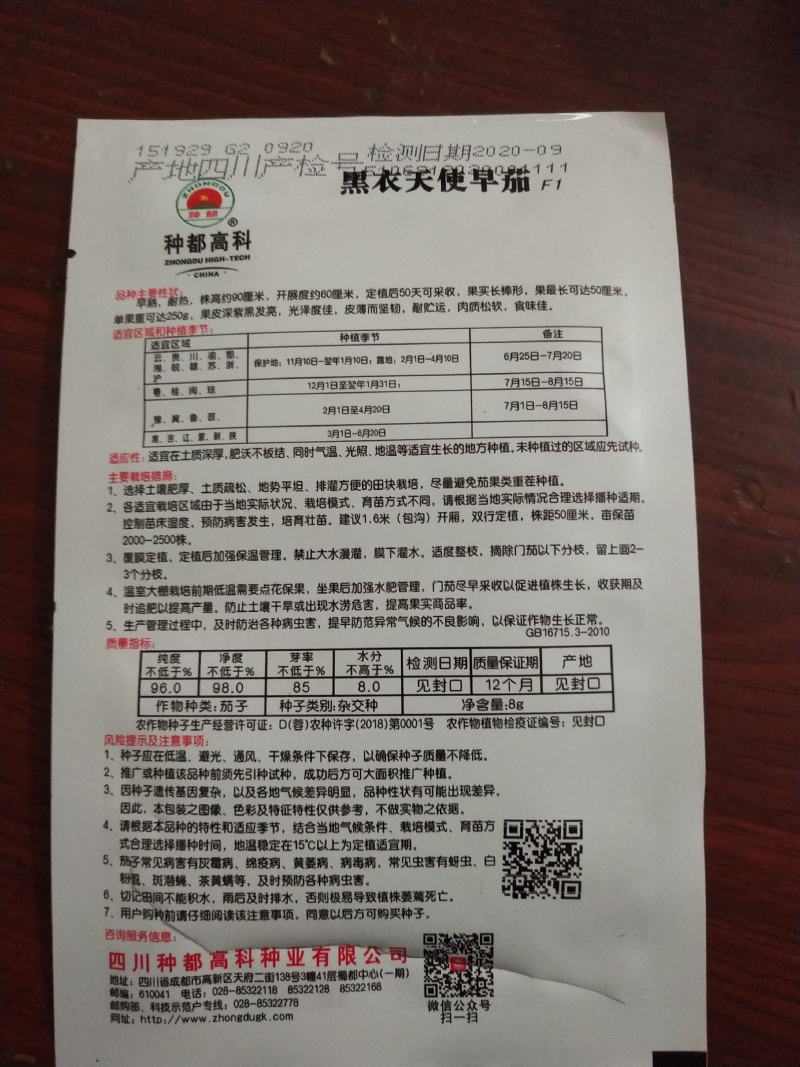 墨茄穴盘苗散苗，基地直供柔软度硬度亮度质量好，物美价廉，