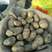 大量出售黑龙江马铃薯土豆荷兰十五尤金885.中暑5号，等