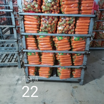新苗胡萝卜，土货水洗货，全国代发货！！！