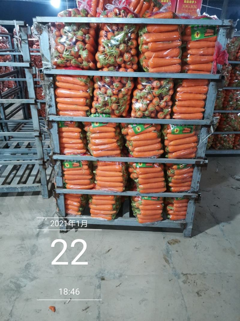 新苗胡萝卜，土货水洗货，全国代发货！！！