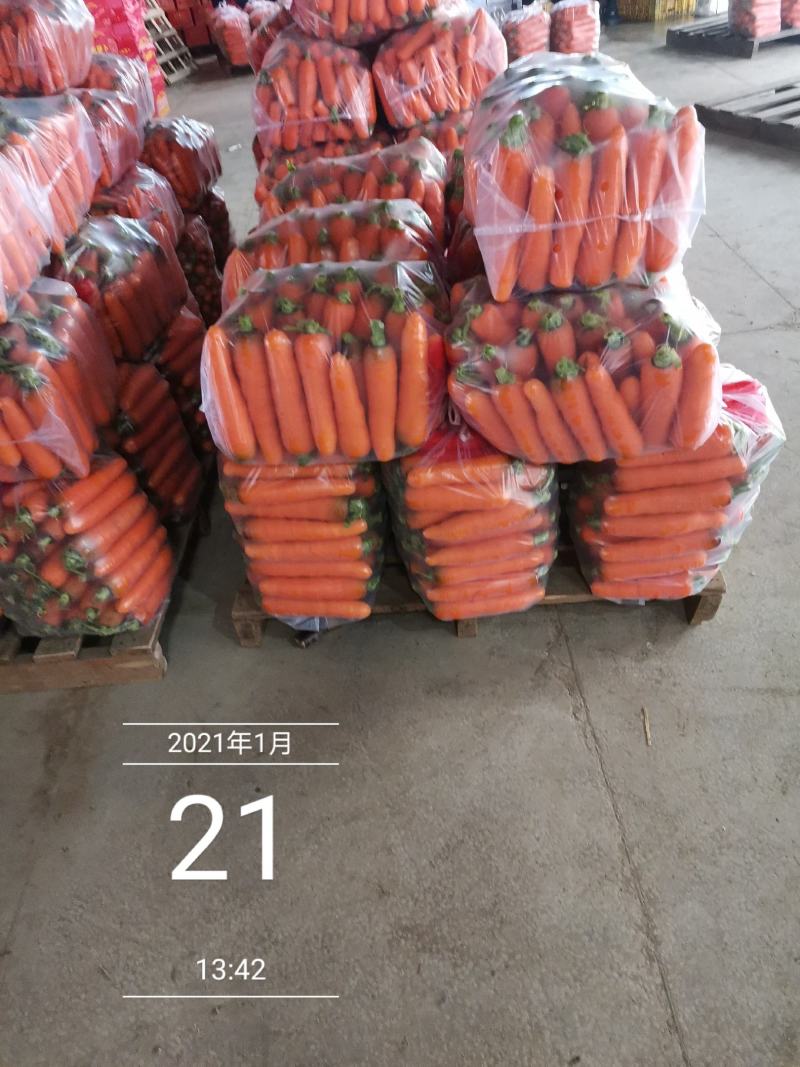 新苗胡萝卜，土货水洗货，全国代发货！！！