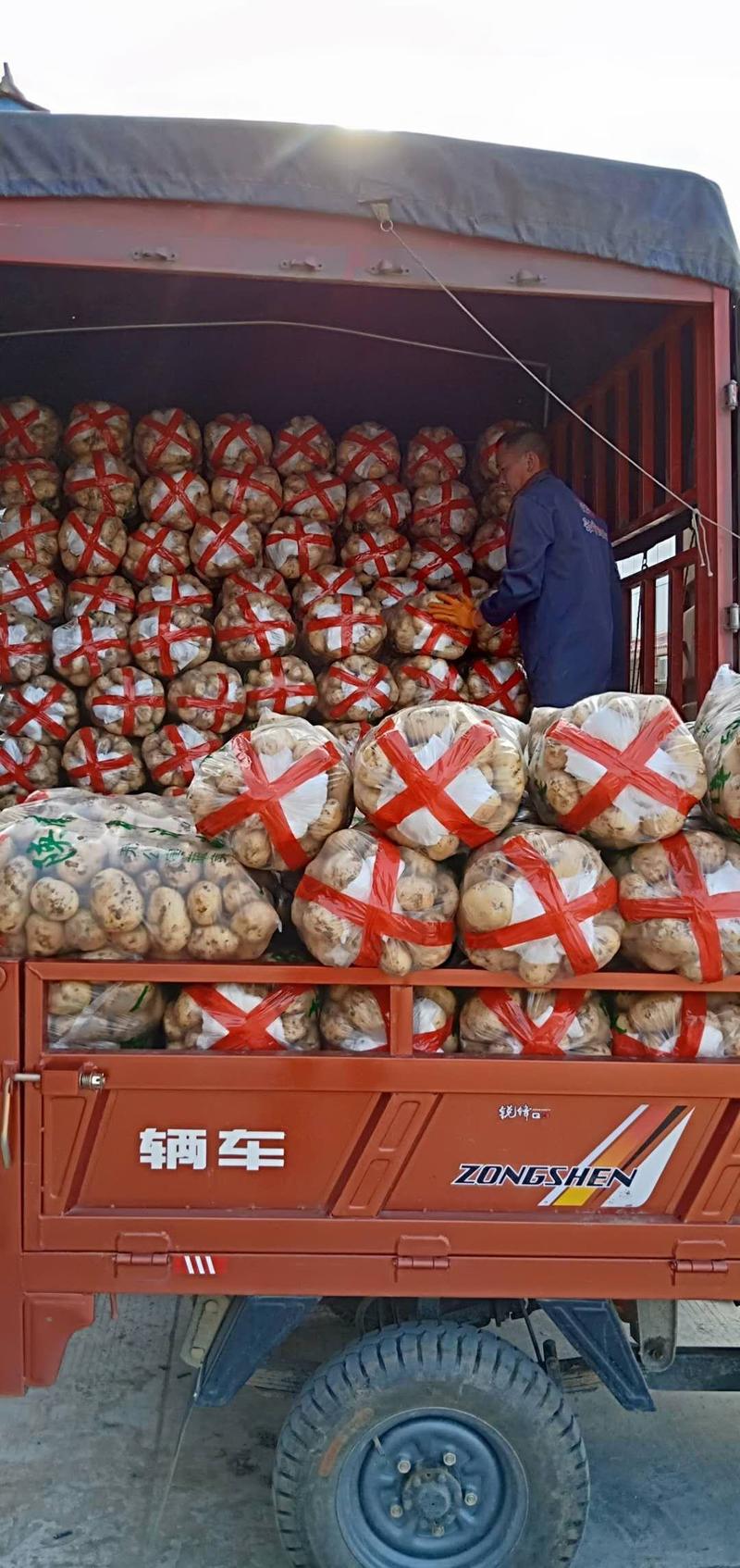 【汉中土豆】沃土5号3两以上）日供50吨产地值供全国发货