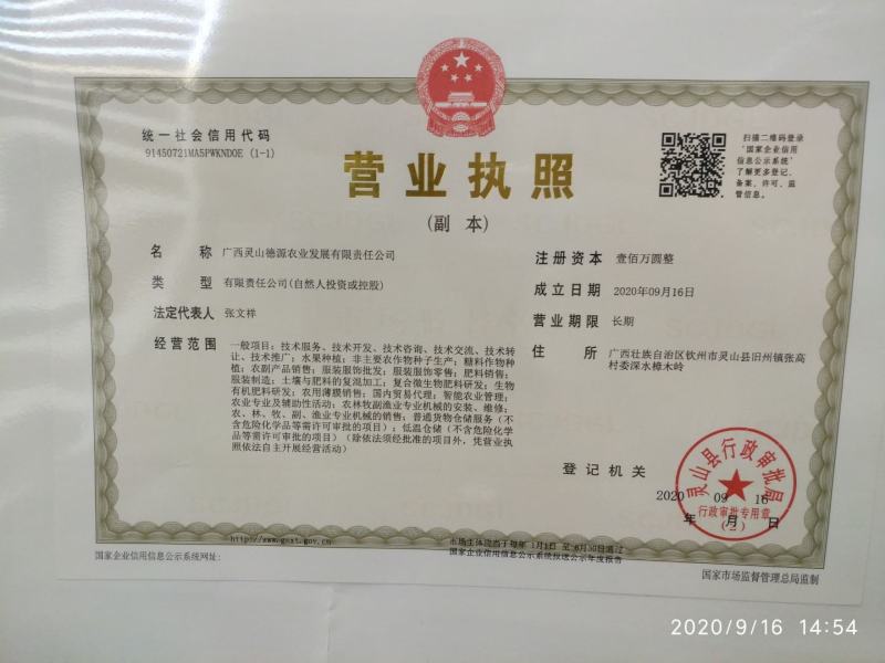 精品甘蔗，产地直供，上车价，公司不收代办费，2.2米左右